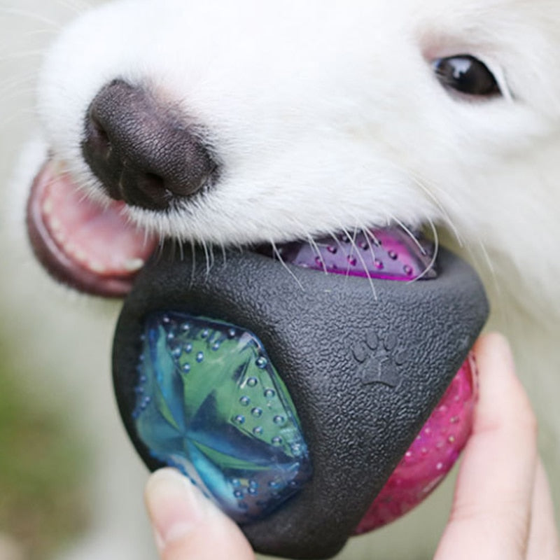 Interactive LED Dog Ball Toy