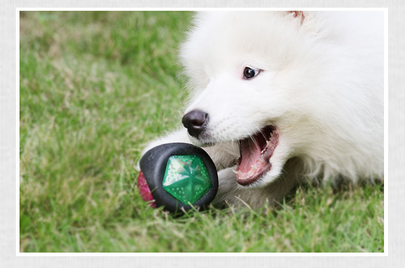 Interactive LED Dog Ball Toy