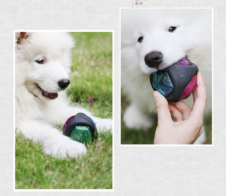 Interactive LED Dog Ball Toy
