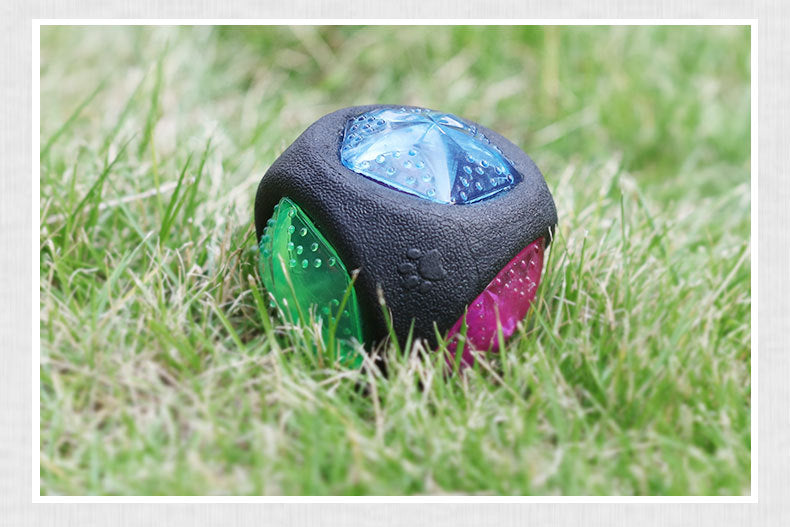 Interactive LED Dog Ball Toy