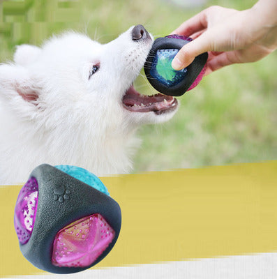 Interactive LED Dog Ball Toy