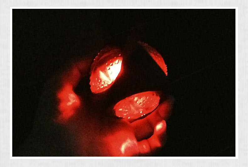 Interactive LED Dog Ball Toy