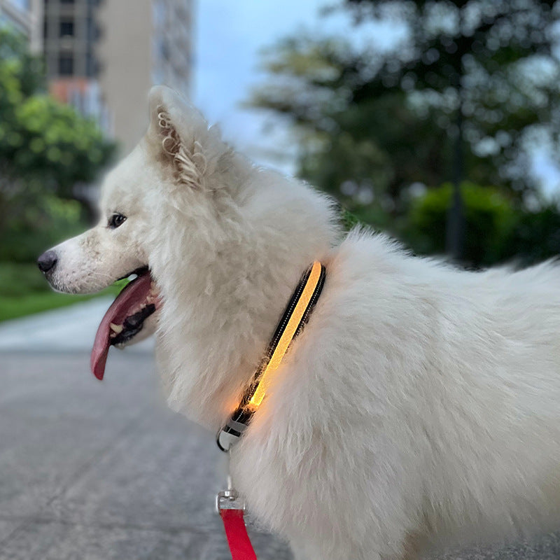 USB Charging LED Dog Collar