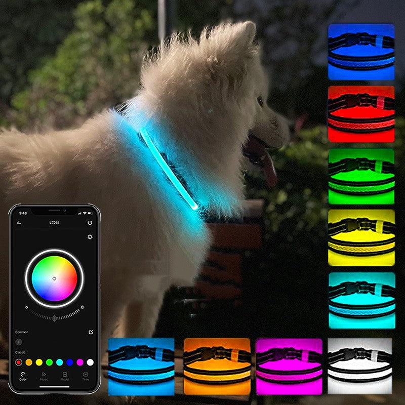 USB Charging LED Dog Collar