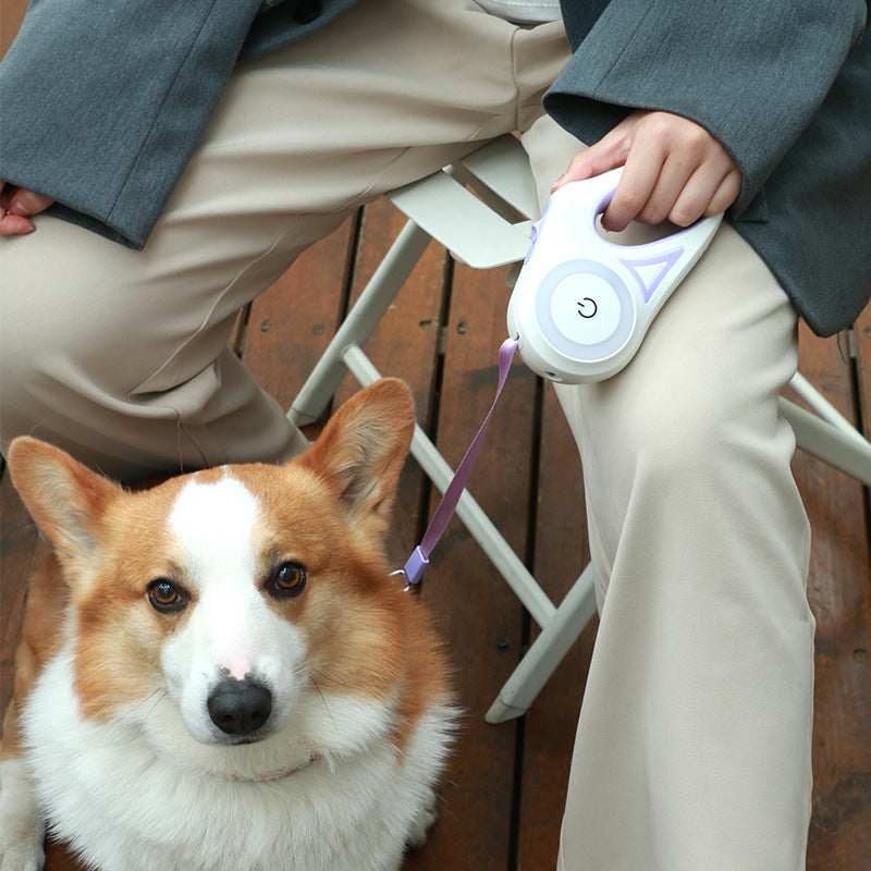 LED Retractable Dog leash with spotlight
