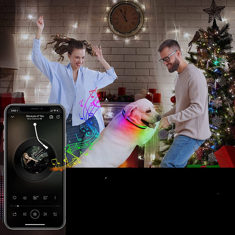 USB Charging LED Dog Collar