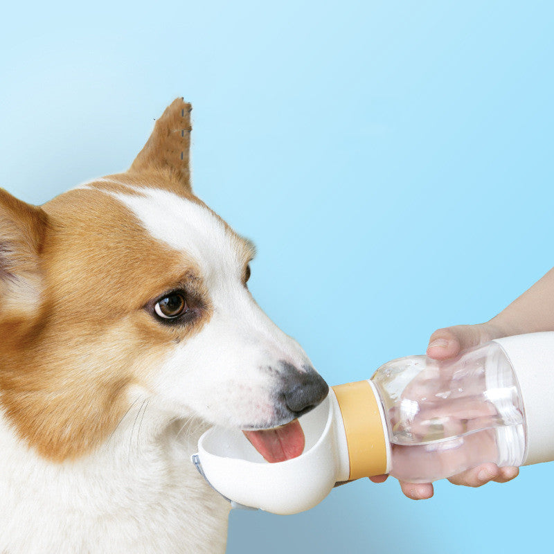 Portable Dog Water Bottle for Walking & Travel